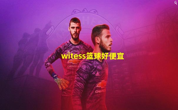 witess篮球好便宜