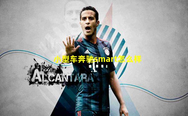 小型车奔驰smart怎么样