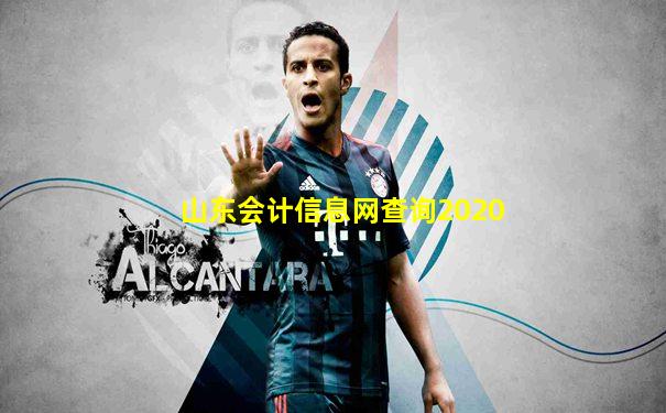 山东会计信息网查询2020