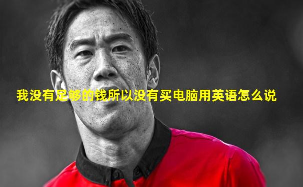 我没有足够的钱所以没有买电脑用英语怎么说
