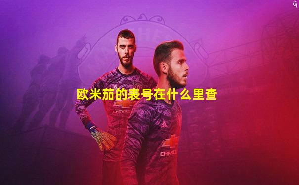 欧米茄的表号在什么里查
