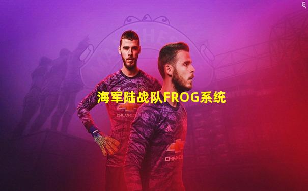 海军陆战队FROG系统