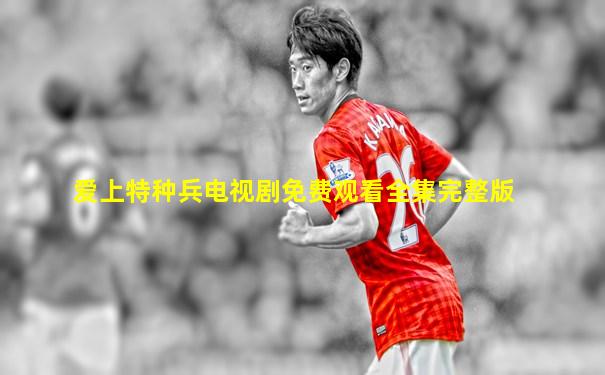 爱上特种兵电视剧免费观看全集完整版