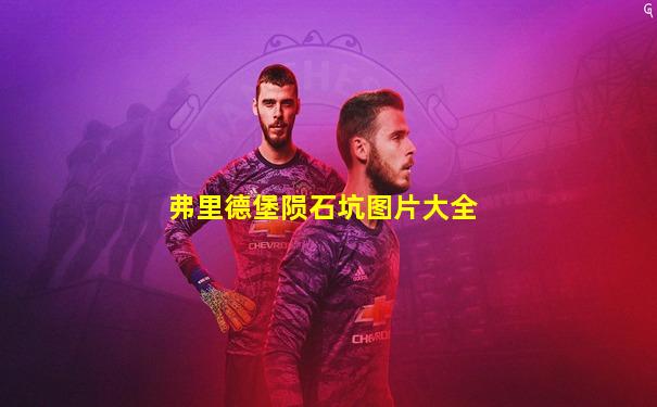 弗里德堡陨石坑图片大全