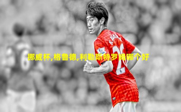 挪威杯,格鲁德,利勒斯特罗姆哪个好