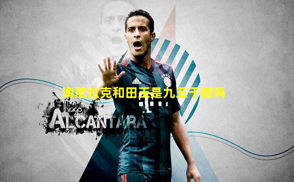 海尼拉克和田玉是九五于阗吗
