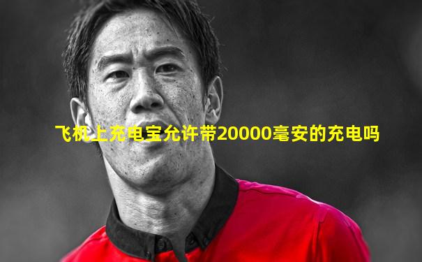 飞机上充电宝允许带20000毫安的充电吗
