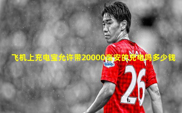 飞机上充电宝允许带20000毫安的充电吗多少钱